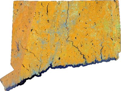 Landsat 8 Mosaic June 2016
